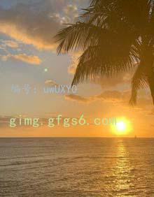 4165(g)